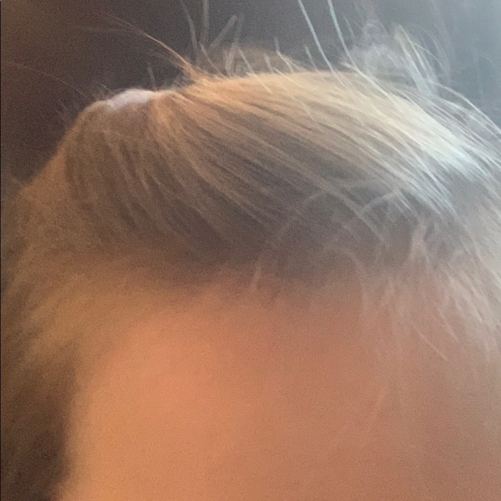 Meet your Posher, Madison